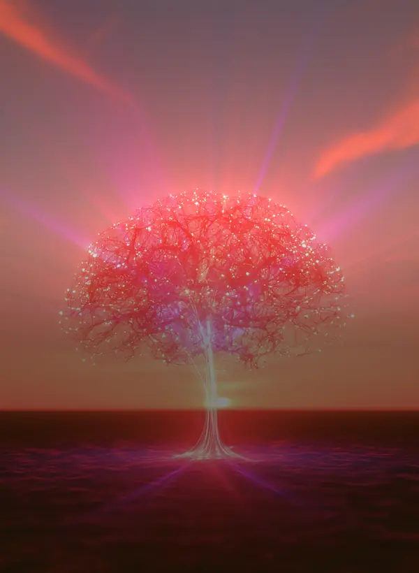 synapsteria-lab-allimeet-lecture Arbre neuronal lumineux aux teintes corail et roses